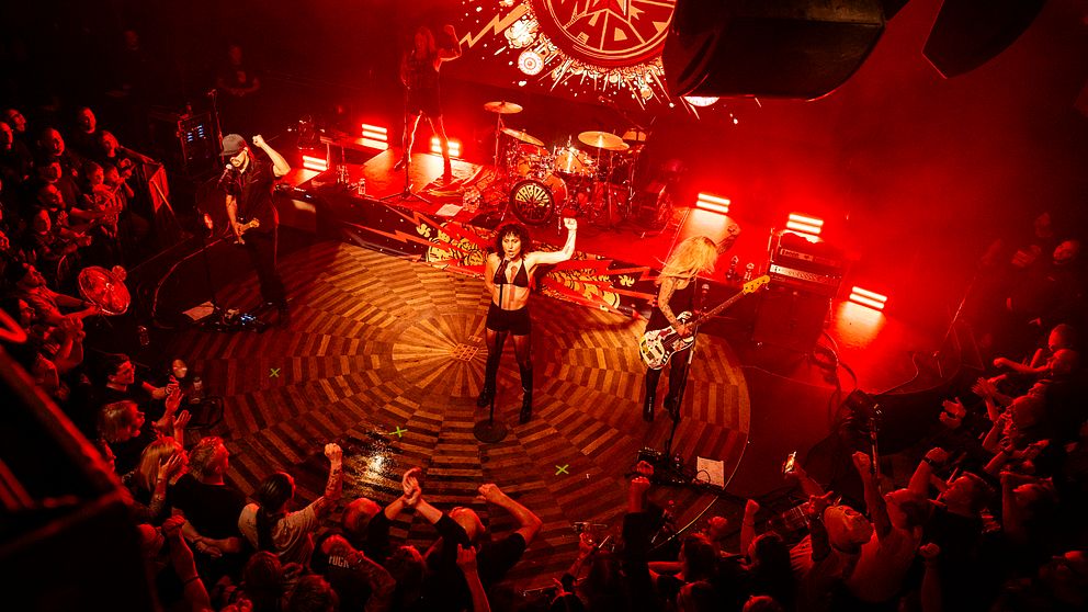 En bild från en spelning med det svenska punkbandet The Baboon Show.