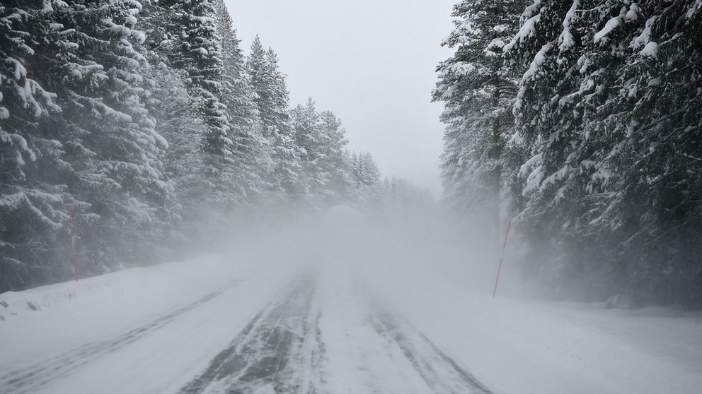 Genrebild, snöig bild på skogsväg i Dalarna.