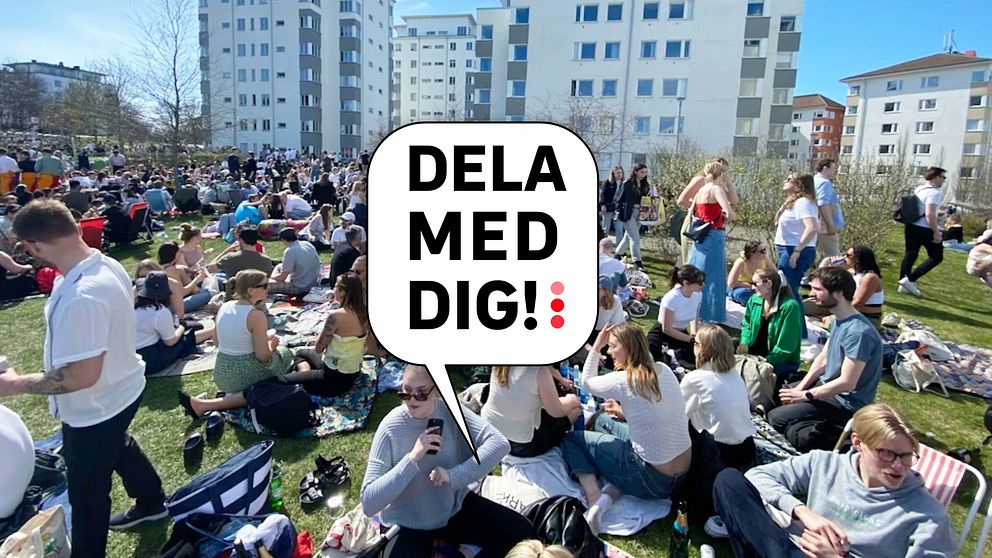 Smygtitta på flottarna till årets forsränning i Uppsala | SVT Nyheter
