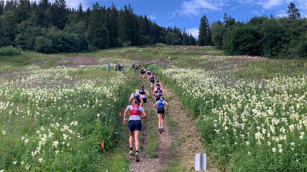 Vertikal K bana uppför berget i Åre