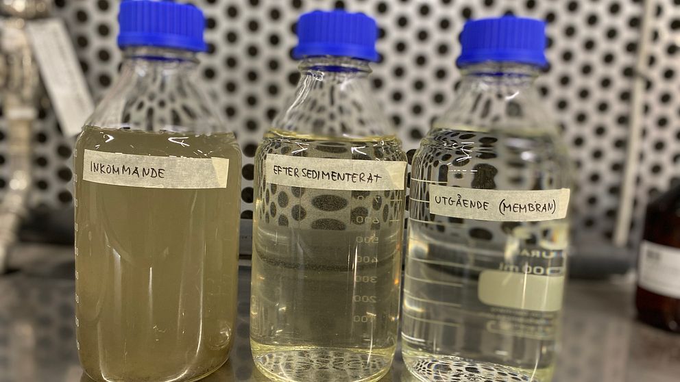 Tre flaskor med olika vätskor på en laboratoriebänk. Flaskorna är märkta med etiketter: ”Inkommande” med grumlig vätska, ”Efter sedimenterat” med klarare vätska, och ”Utgående (membran)” med nästan klar vätska. Bakgrunden visar en metallisk yta.
