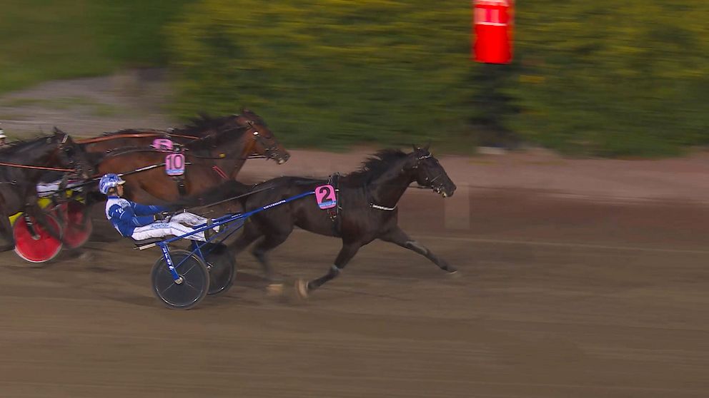 Daniel Wäjersten och Borups Victory vinner loppet.