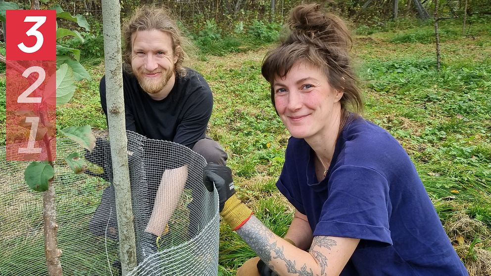 Trädgårdsmästare Louella Moser på Arboretum Norr vinterställer deras trädgård
