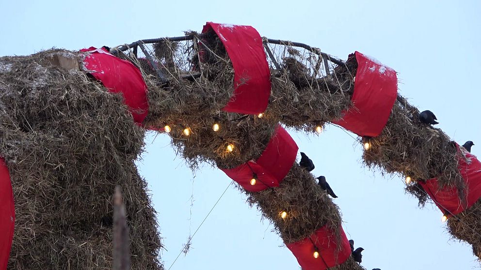 Gävlebockens uppätna horn men rött band, lampor och svarta kajor.