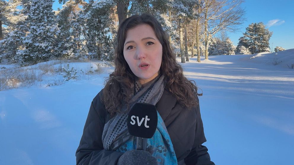 bilden visar svts reporter Dahlia Poignant Khafagi på plats vid Skutberget, där skjutningen ägde rum i februari 2024.