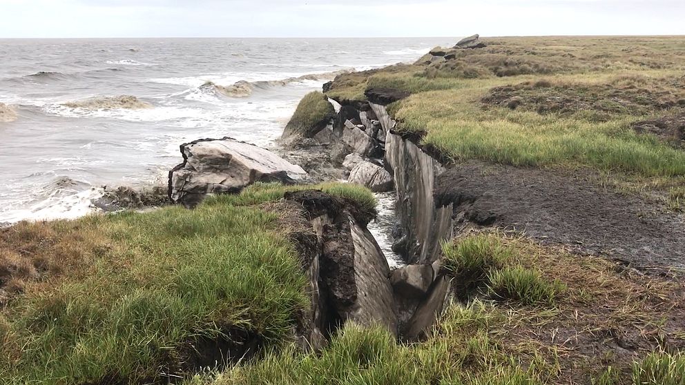 Bild på hav som möter gräsklippor och permafrost rasar ned i havet