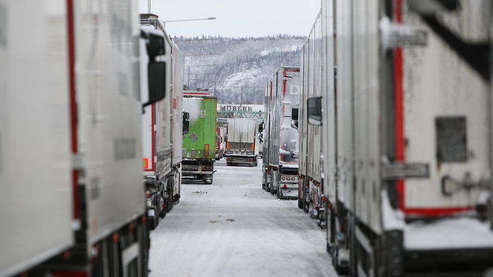 Snökaoset har skapat trafikstopp och lastbilar har stått still på vägarna under natten och förmiddagen.