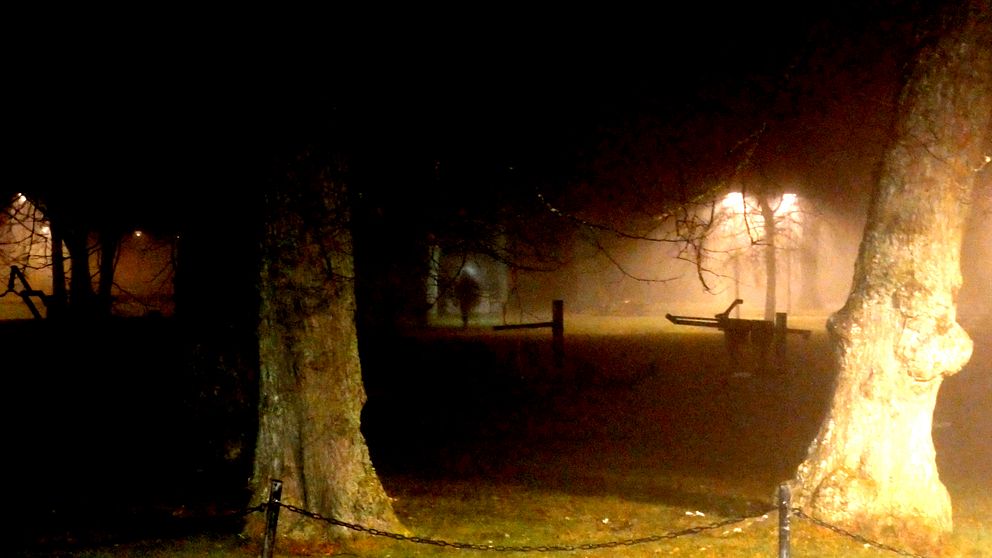 Mörk park med dimma och svagt upplysta träd och gangväg.