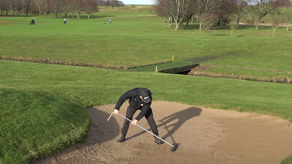 En person krattar en bunker på en golfbana, med gröna fairways och träd i bakgrunden.