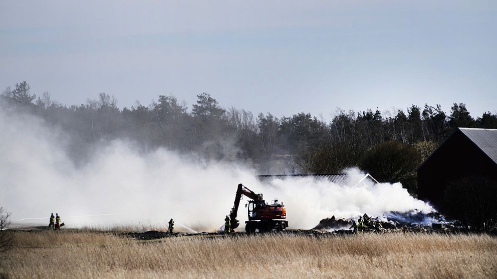 Gräsbrand