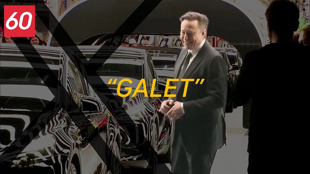 Elon Musk dansar bland bilar