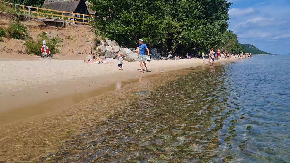 Simrishamns kommuns vädjar till allmänheten att inte besöka Knäbäckshusens strand. Hittills med klent resultat.