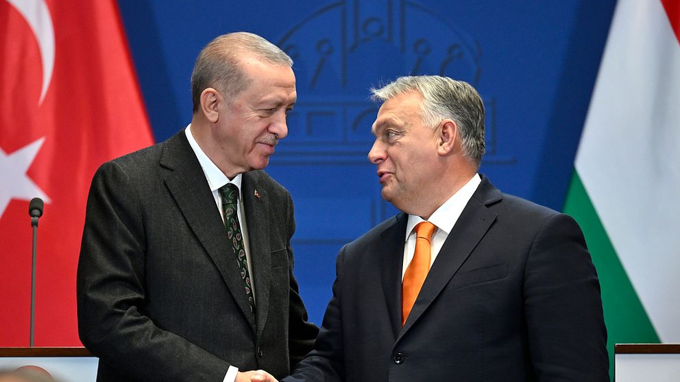 Recep Tayyip Erdogan och Viktor Orbán.