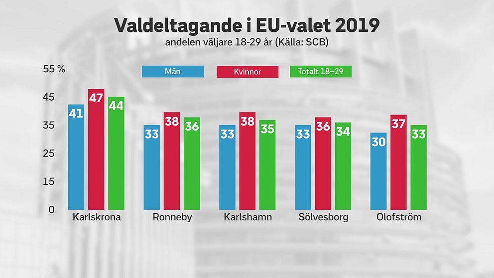 EU-valet 2019, unga i Blekinge