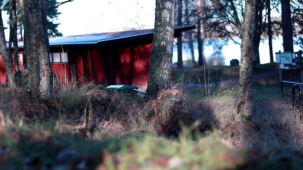 Röd trästuga omgiven av träd och torrt gräs i ett lantligt skogsparti.