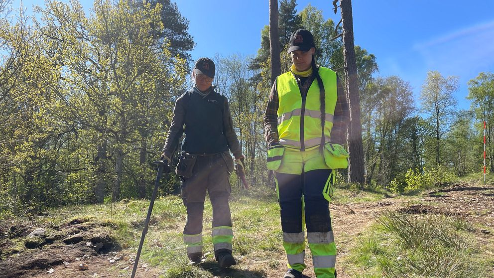 Två arkeologer söker med metalldetektor i en solig skogsglänta i Värnamo.