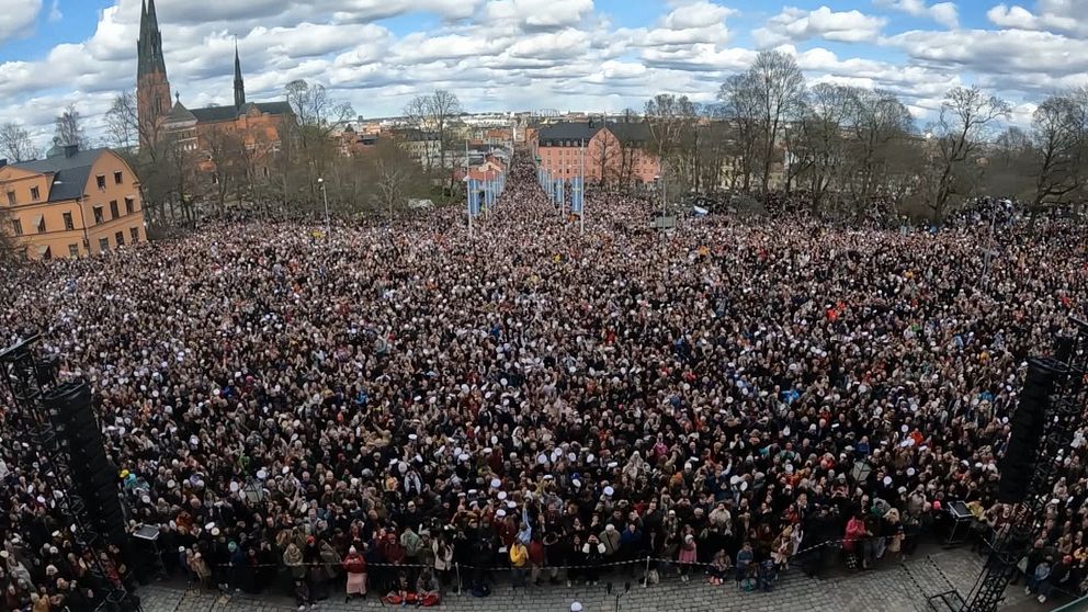 Flera personer i carolinabacken i Uppsala