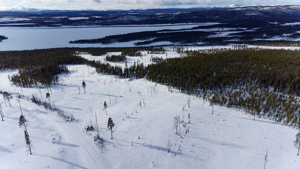 Dál lea čielgan: Stuora investeren Gállok-fitnodahkii ii šatta duohtan ...