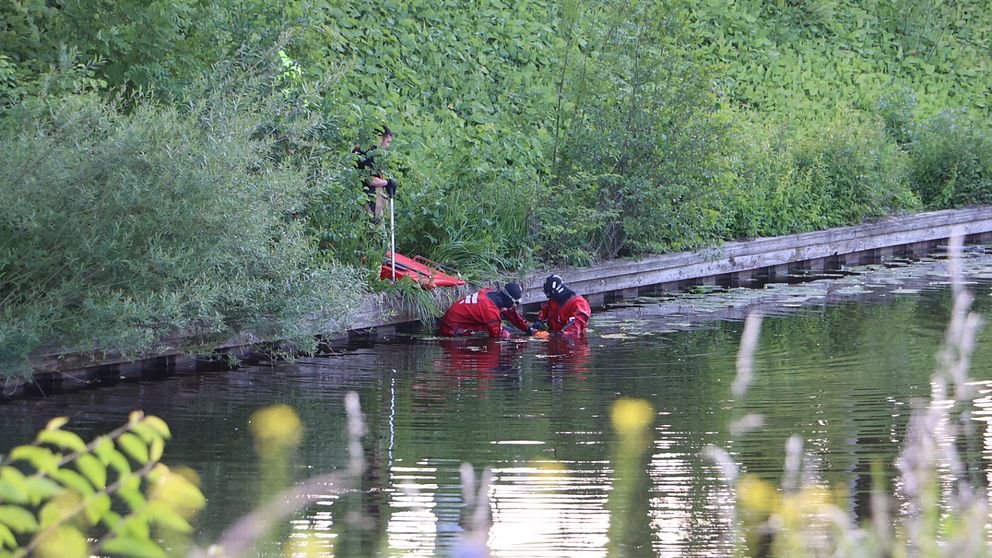 Två rödklädda personer i vatten bland gröna buskar