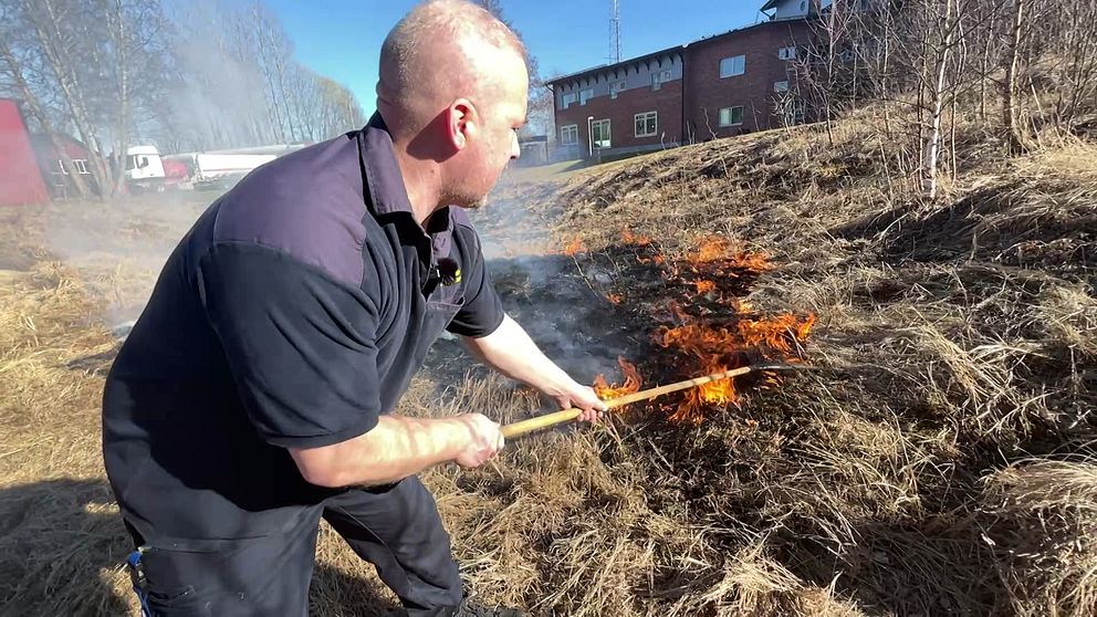 Person släcker gräsbrand med kratta. Bakgrund: byggnader och blå himmel.