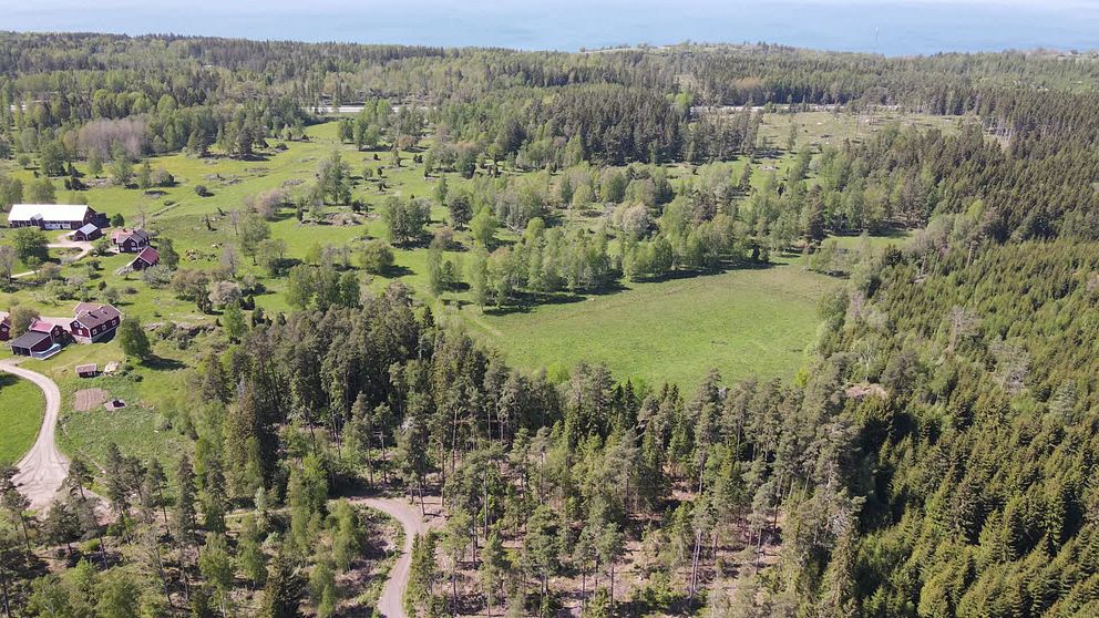 Drönarbild ovanför skog och ängar, i horisonten syns Vättern.