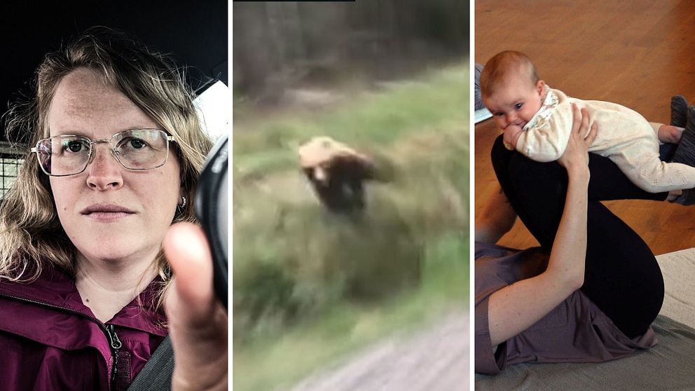 Bilder från veckans nyheter: Hemtjänstpersonal, björnattack och bebisyoga