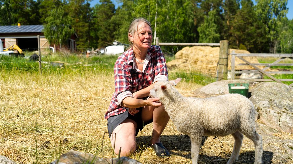 Kvinna med får i hage