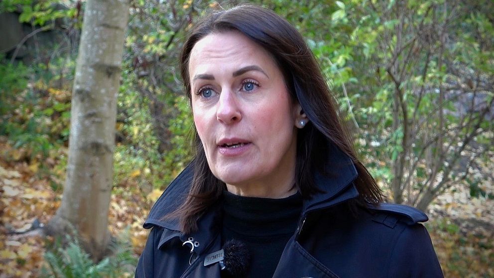 En person står utomhus i en grönskande miljö, omgiven av träd och höstlöv. Personen bär en mörk jacka och har långt, mörkt hår. Bakgrunden är suddig men visar en naturskön plats.