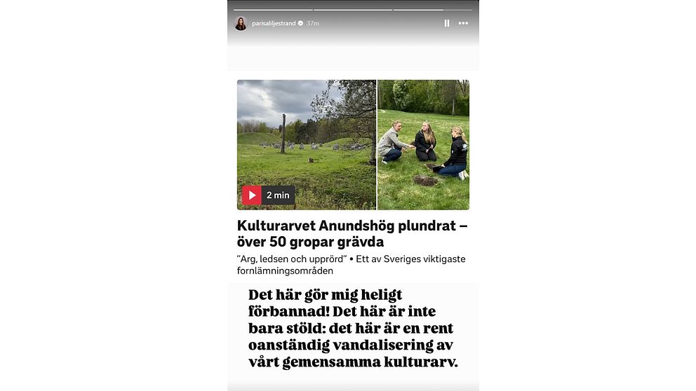 Skärmdump från kulturminister Parisa Liljestrands (M) Instagramkonto