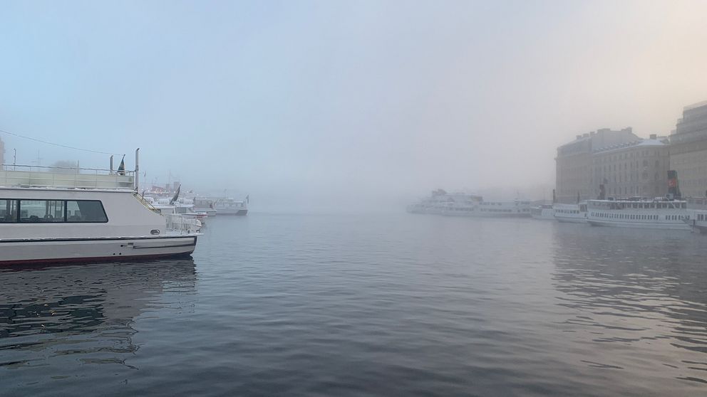 Vaxholmsbåtar i Nybroviken, dimma över vattnet.