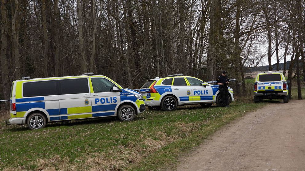 Bild på tre polisbilar i skogsparti.