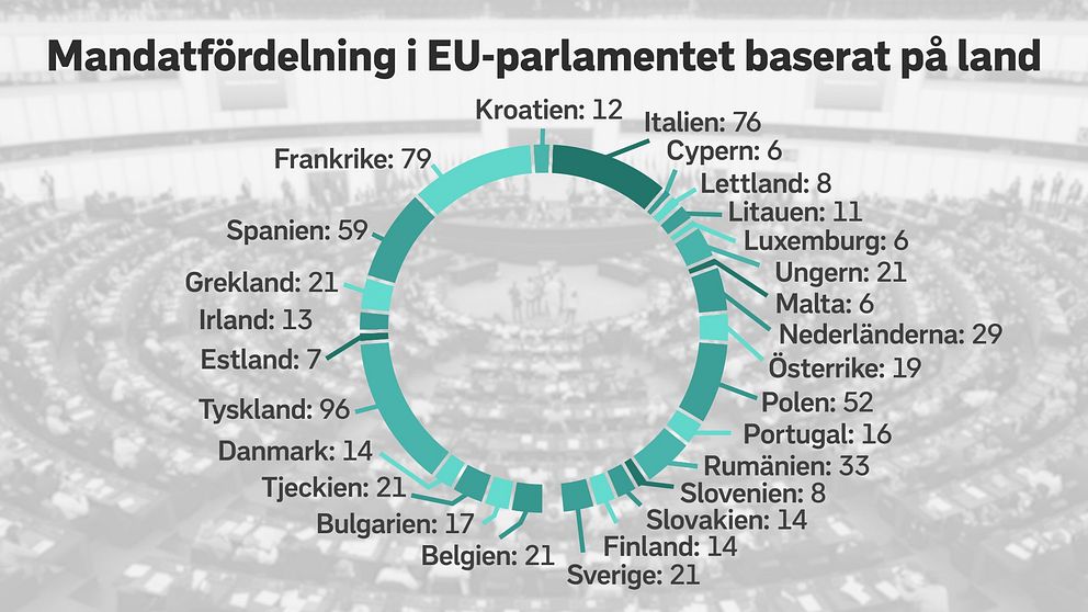 grafik över mandatfördelningen i eu-parlamentet