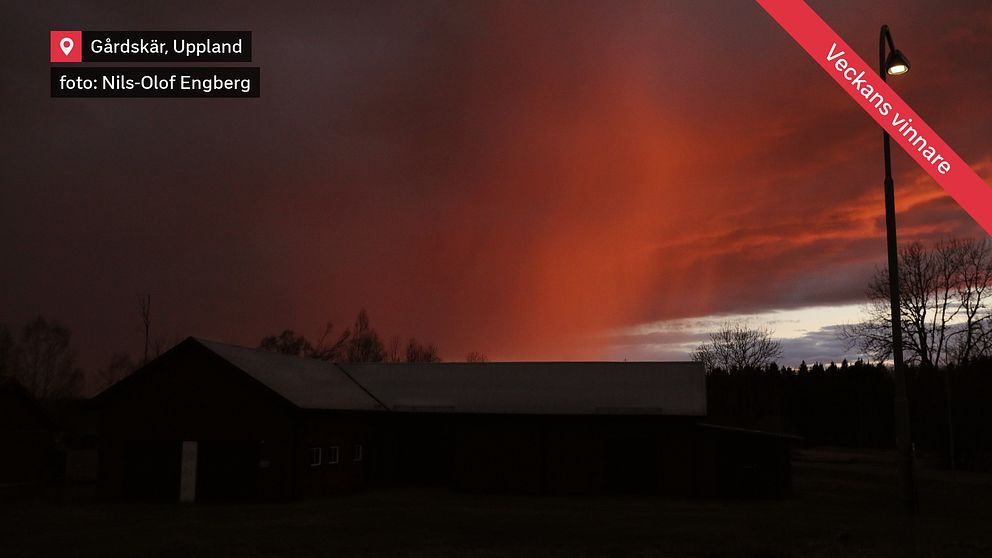 Regnskur vid solnedgång i Gårdskär nordost om Älvkarleby i nordligaste Uppland den 14 april.