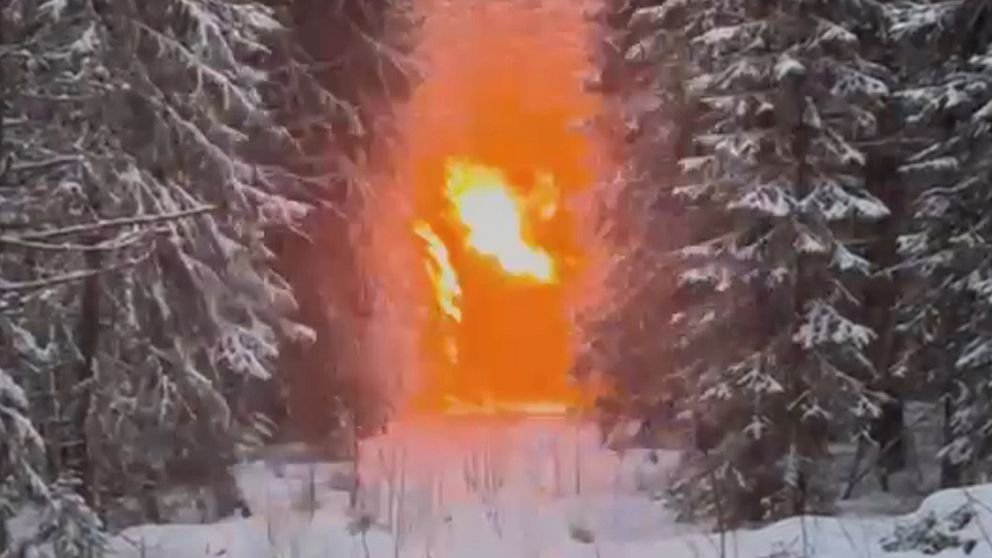 En ilsket orange explosion i en snöklädd skog, omgiven av täta granar.