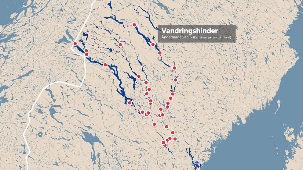 Karta som visar vandringshinder i Ångermanälven, med blå linjer som representerar vattendrag och röda punkter som markerar specifika hinder. Texten ”Vandringshinder” förklarar kartans syfte.
