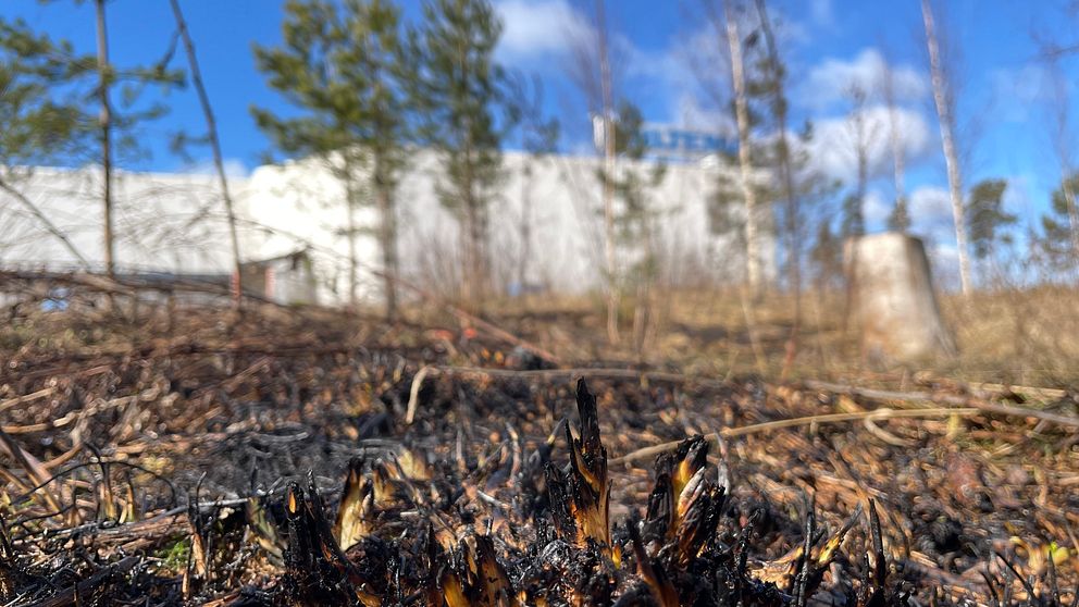 Den brända marken i Hemlingby