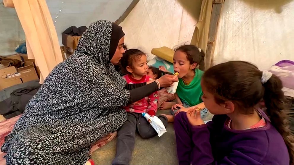 Kvinna matar sina barn med en tesked majskorn, i ett tält i Gaza.