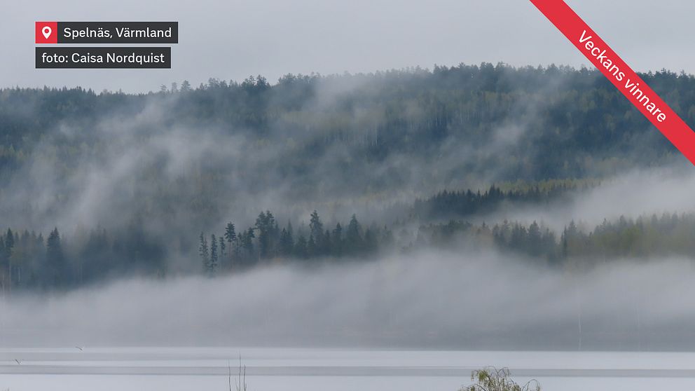 Dimman på väg att lätta över Fryken i Spelnäs i Värmland på morgonen den 23 april.