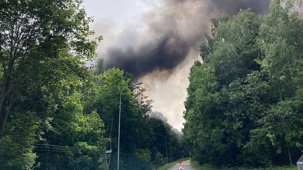 Svart brandrök syns vid en cykelväg intill en skog.