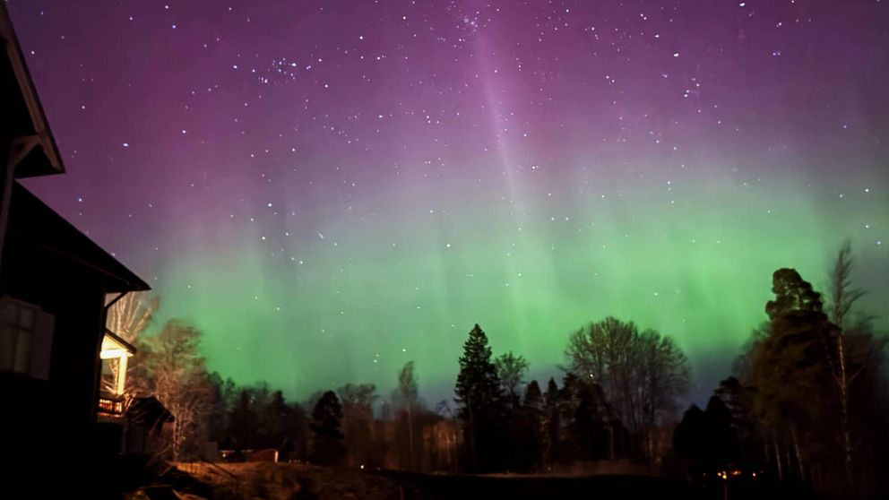 Norrsken och stjärnor lyser över skog och hus i nattlandskap.