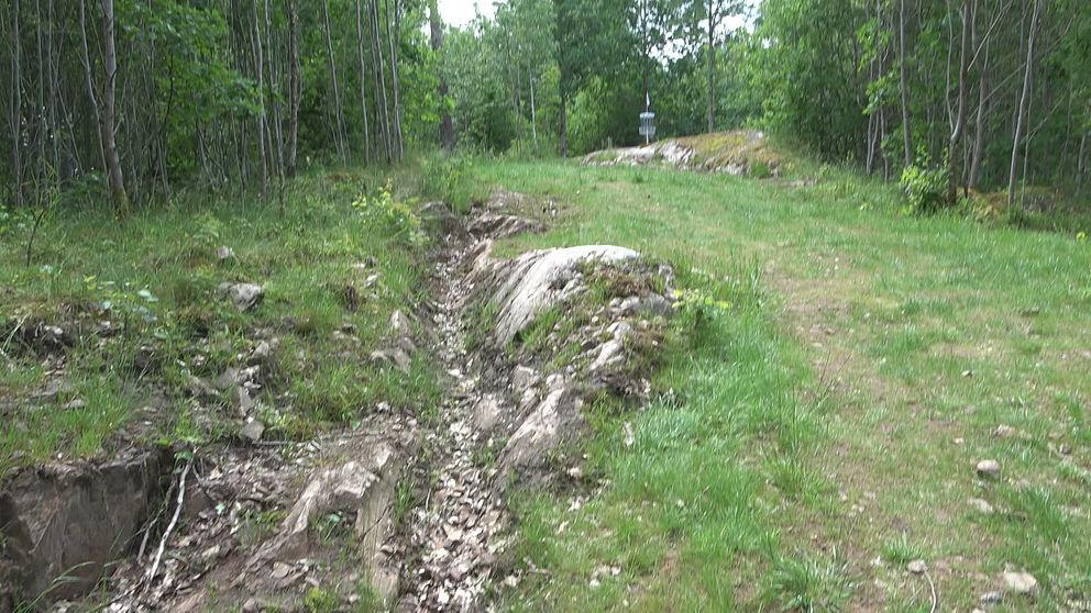 En grönskande stig som skär genom en skog med några större stenar och en djup ränna i marken. Träden omkring är täta och ljusa, vilket ger en känsla av natur. I bakgrunden syns en skylt eller ett monument.