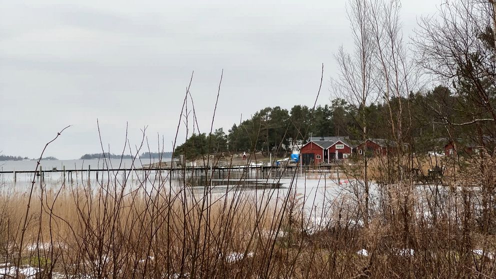 Stort sökpådrag efter försvunnen kvinna på Hammarö | SVT Nyheter