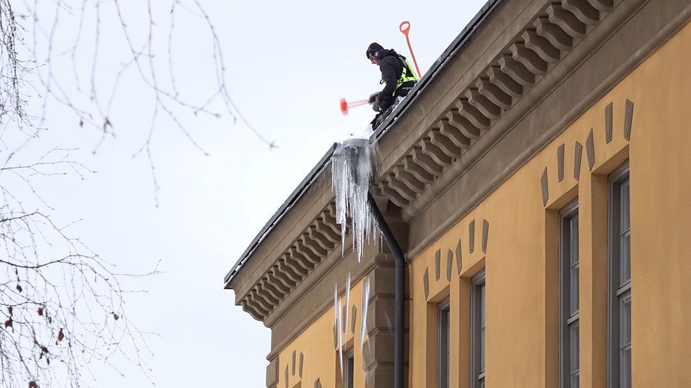 En takskottare slår ner istappar i Östersund.