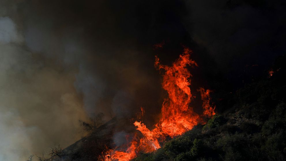 Eldsvåda rasar över en sluttning, med starka flammor och svart rök som stiger mot himlen.