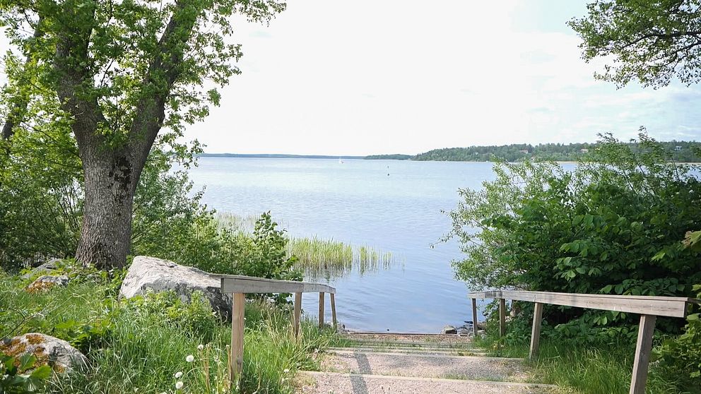 Skarholmen