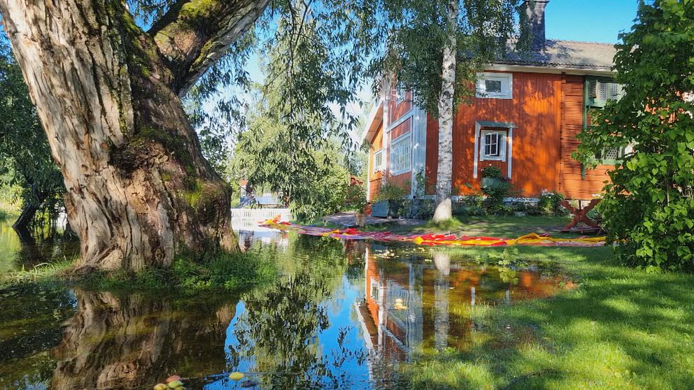 Trädgården på Carl Larsson-gården i Sundeborn under vatten efter det höga vattenflödet.