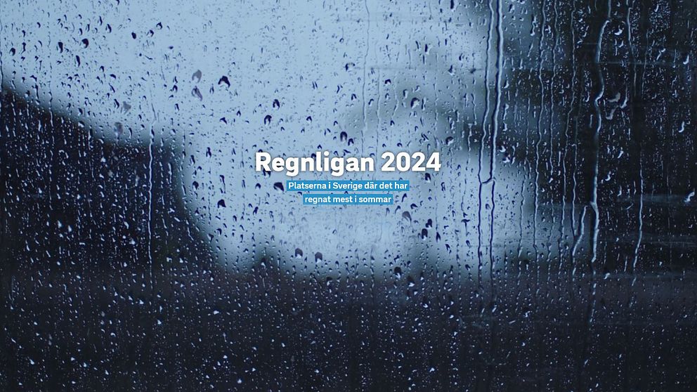 Regnligan 2024