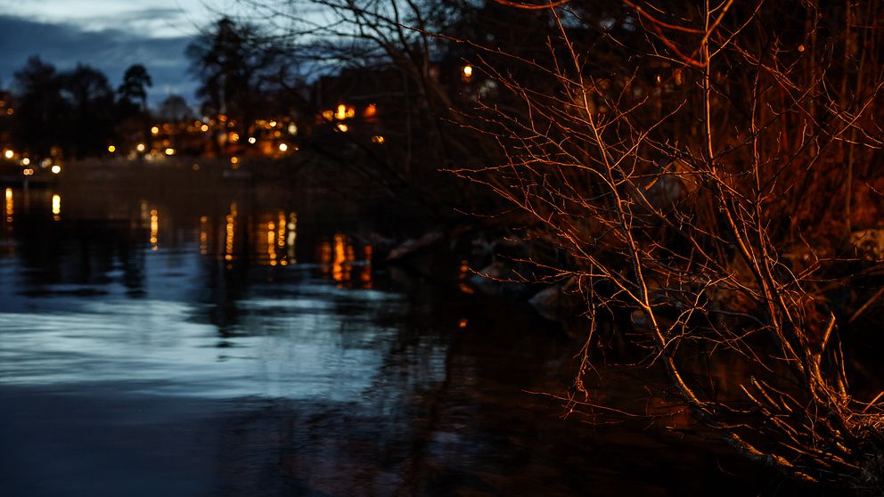 Kvällsvy över sjö med stämningsfull belysning från hus i bakgrunden.