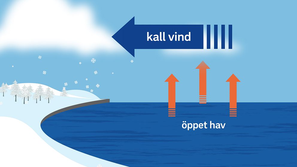 Kall torr luft hämtar fukt från öppen hav och vinden styr snöbyar in mot kusten.