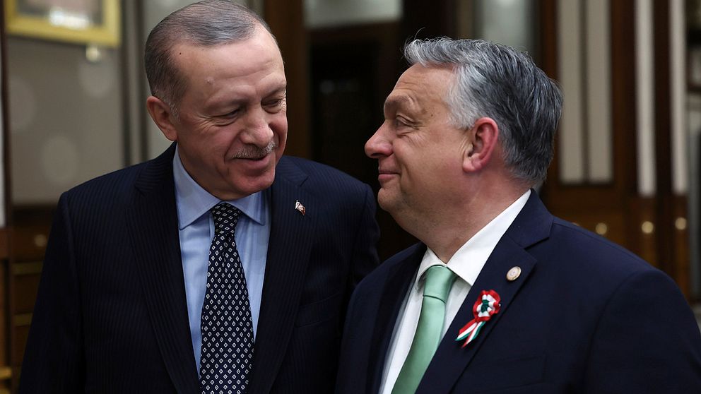 Erdogan och Órban ler åt varandra